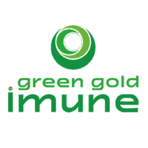 green gold immune